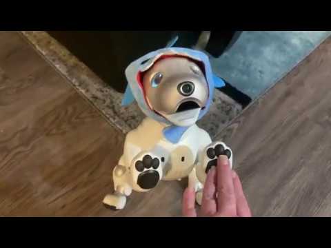 Видео: Jibo & Friends - Ревущие двадцатые (Вечеринка в честь моего дня рождения)