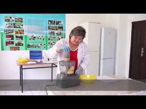 Видео: Оценка сортов картофеля к переработке на чипсы2