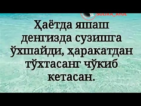 Видео: Хаётда яшаш, денгизда сузишга ухшайди