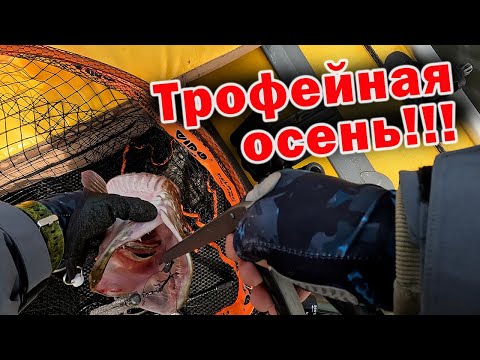 Видео: НАШЁЛ ОГРОМНУЮ ЩУКУ!!! ЧЕСТНЫЙ ТЕСТ НОВОГО СПИННИНГА CF Strike 802 MT 244 см. 7—25гр.
