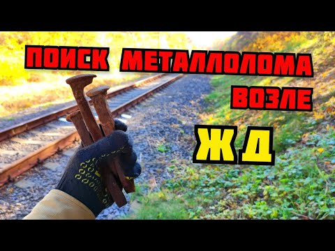 Видео: ПОИСК МЕТАЛЛОЛОМА И МЕДИ ВОЗЛЕ ЖЕЛЕЗНОЙ ДОРОГИ БЕЗ МЕТАЛЛОИСКАТЕЛЯ КАК ЗАРАБОТАТЬ ДЕНЬГИ НА МЕТАЛЛЕ