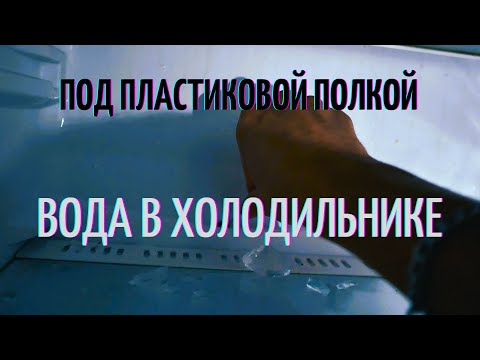 Видео: С холодильника течёт вода . Вода внизу холодильника под пластиковой полкой