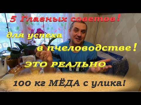 Видео: Как взять 100 кг мёда с семьи пчёл! 5 советов начинающим для успеха в пчеловодстве из моего опыта!