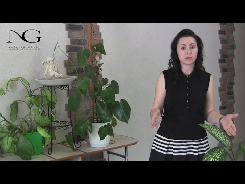 Видео: Рабочее место мастера маникюра. Часть 1 / Workplace manicure. Part 1