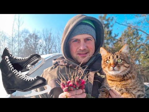 Видео: Травма при катании на коньках. Январская редиска выросла в белорусском лесу.
