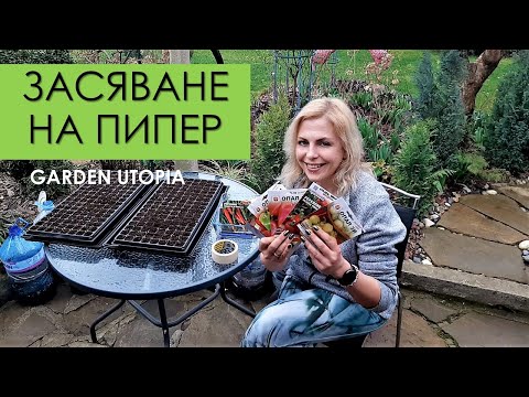 Видео: Пипер - Засяване и отглеждане | 07.03.2023 г.