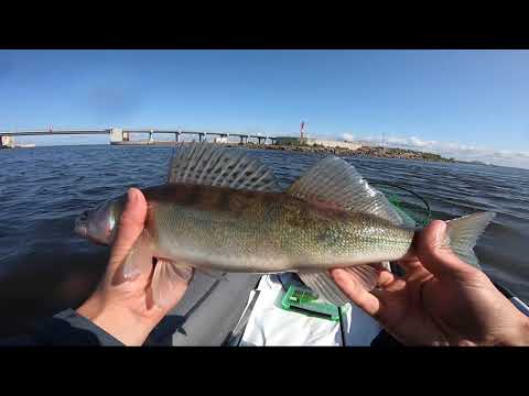 Видео: ЛОВЛЯ СУДАКА НА ДЖИГ / ФИНСКИЙ ЗАЛИВ 2019