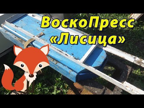 Видео: Усиленный воскопресс Лисица. Сколько воска получается из мервы ?