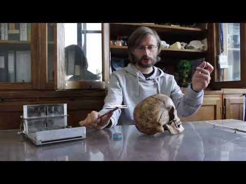 Видео: Станислав Дробышевский. Краниометрия. Научные методы в антропологии. Серия 2.