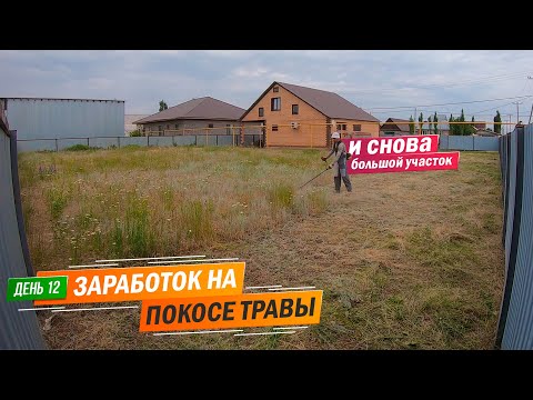 Видео: День 12 | И снова кошу большой участок. Заработок на покосе травы триммером.