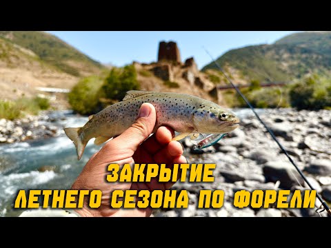 Видео: Закрытие летнего сезона по форели 2025!