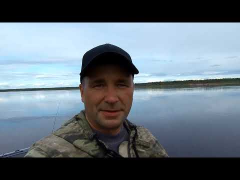 Видео: СЕВЕРНАЯ ДВИНА/РЫБАЛКА/ОТДЫХ