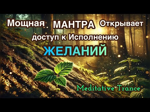 Видео: Мантра Позволения и открытия Возможностей ( 8 Песен на Позитивных Установках) ❤️🥰🙏🏻
