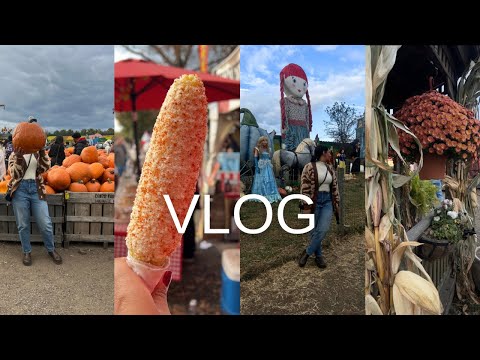 Видео: Проведите день со мной на тыквенной грядке | Уютная осенняя атмосфера и милый осенний образ 🍁