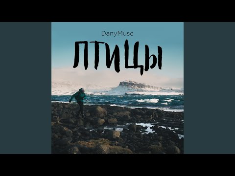 Видео: Птицы