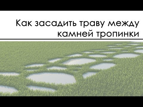 Видео: Как засадить траву между камней тропинки мультискаттером / Multiscatter
