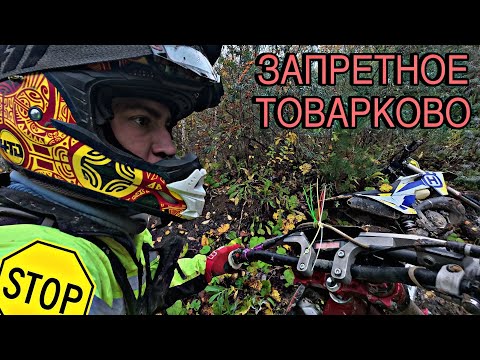 Видео: ЗАПРЕТНОЕ МОКРОЕ ТОВАРКОВО