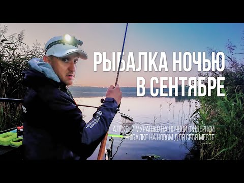 Видео: Фидер в сентябре: Ночная ловля леща на новом месте