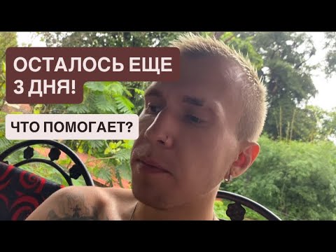 Видео: ПРЯМОЕ ВКЛЮЧЕНИЕ ИЗ ГОА: Шёл 6-й день голодания