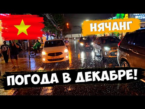 Видео: Папанов в кадре! Погода в ДЕКАБРЕ в Нячанге! Вьетнам
