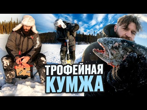 Видео: УЕХАЛИ В ТАЙГУ. Живем в избе. ТРОФЕЙНАЯ КУМЖА !!!
