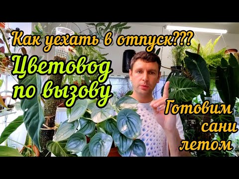 Видео: Бросаем цветы едем в отпуск /Цветовод по вызову / Как оставить цветы на время уезда ?