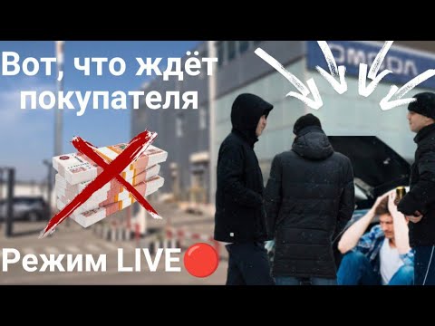 Видео: Не повторять!! Ищем живой Duster в московских автосалонах