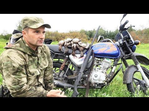 Видео: ОХОТА НА УТКУ ПЕШКОМ. ПРОШЕЛСЯ ПО КОЗЫРНЫМ МЕСТАМ!!! Охота с  Ружьем Franchi Affinity One.