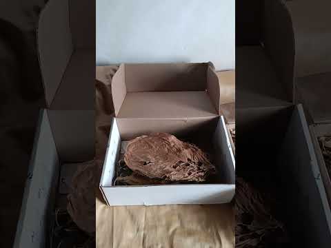 Видео: Способ ферментации ( с куста до готового листа ). Нелегко но вкусно,😋👍