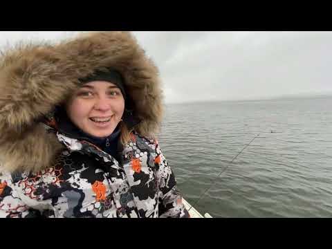 Видео: Рыбалка на трофейного судака, Пермь, река Чусовая