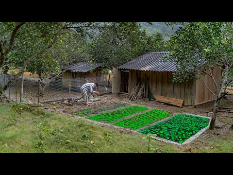 Видео: Никто не ожидал — после тюрьмы я вернулся в заброшенный дом, чтобы стать хорошим фермером.