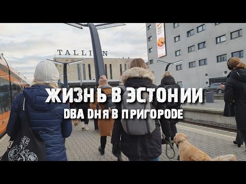 Видео: Два дня из жизни в Эстонии: ферма, работа, съёмки, Таллинн | Влог