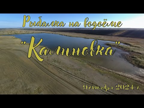 Видео: Рыбалка на коммерческом водоёме "Калиновка" Ставропольский край 9 октября 2024г.