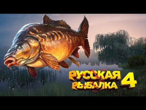 Видео: Ищем трофа, Фарм Русская Рыбалка 4 #shorts