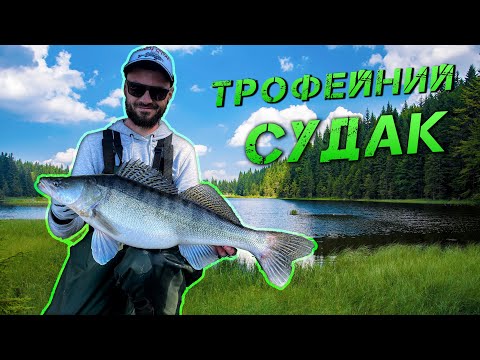 Видео: ✅Оце КЛЮНУВ! ТРОФЕЙНИЙ СУДАК✅