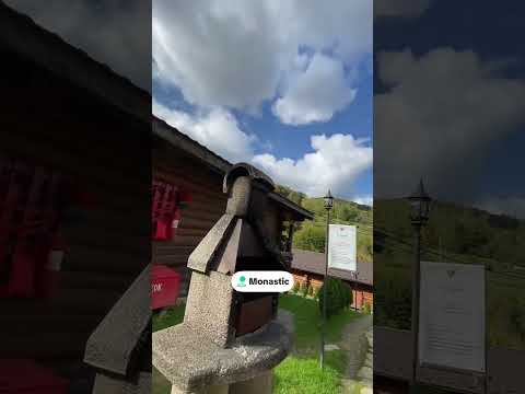 Видео: 9 октября 2025 г.