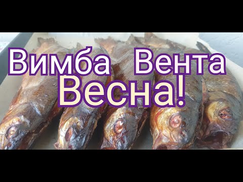 Видео: Вимба, Вента, Весна!