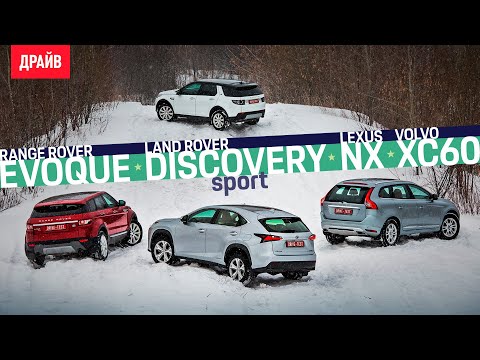 Видео: Lexus NX, Volvo XC60, Evoque, Disco Sport — групповой тест