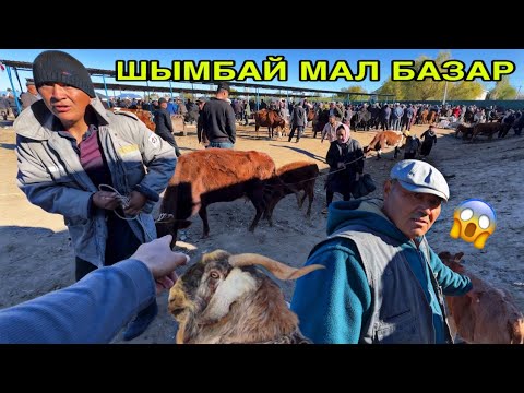Видео: ТУСИРМЕ❌БЕРМАН КЕЛ! 5-ОКТЯБР ШЫМБАЙ МАЛ БАЗАРЫ БАХАЛАРЫ ӨЗГЕРДИ!