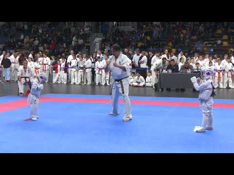 Видео: “Купа Шумен” 25.10.2025 - татами 2