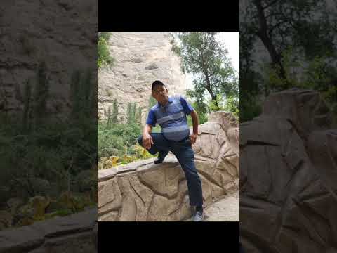 Видео: Бу ҳаётдан завқланиб яшанг...