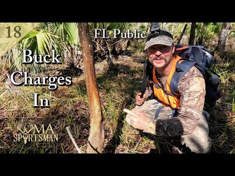 Видео: Олень в 12 шагах!!! 3-дневная охота на оленей и лесных уток — поздний сезон, охота на общественны...
