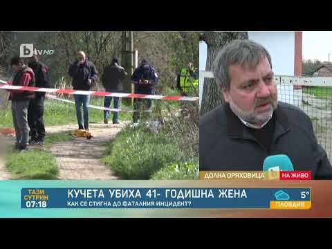 Видео: Кметът на Долна Оряховица, след като кучета убиха жена: карал съм се с човека|„Тази сутрин“–БТВ
