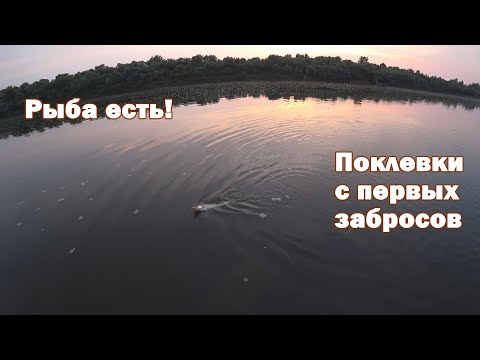 Видео: Ночной судак на воблеры в середине лета. Первая нормальная рыбалка по судаку после запрета.