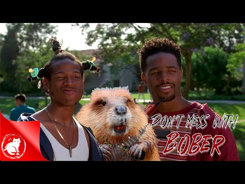 Видео: Don't Mess With Bober - Не ломай плотины, попивая пиво у себя в хижине