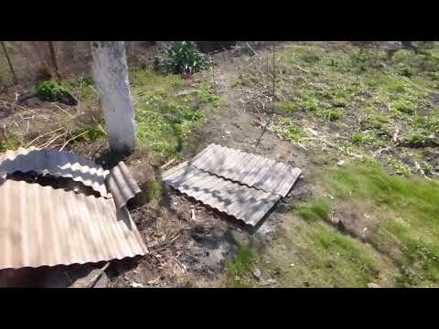 Видео: Осокорки, д.154, ул. 55-ая садовая.