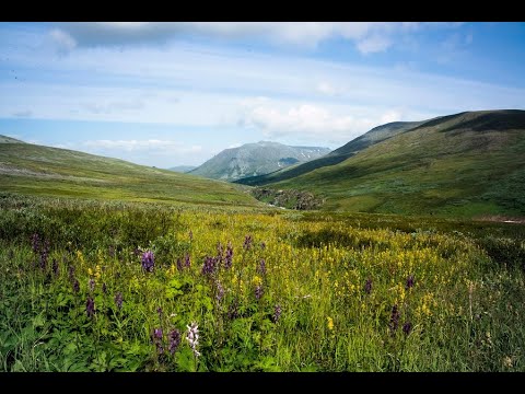 Видео: Почвы горных областей