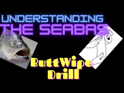Видео: Понимание упражнения «ButtWipe» от SeaBas