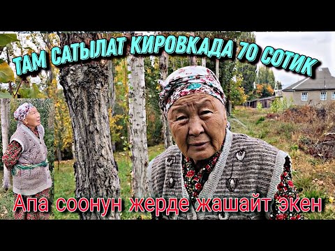 Видео: Там сатылат Кировкада соонун жерде