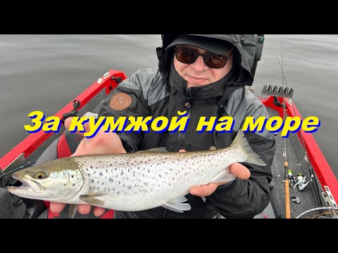 Видео: За кумжой на море